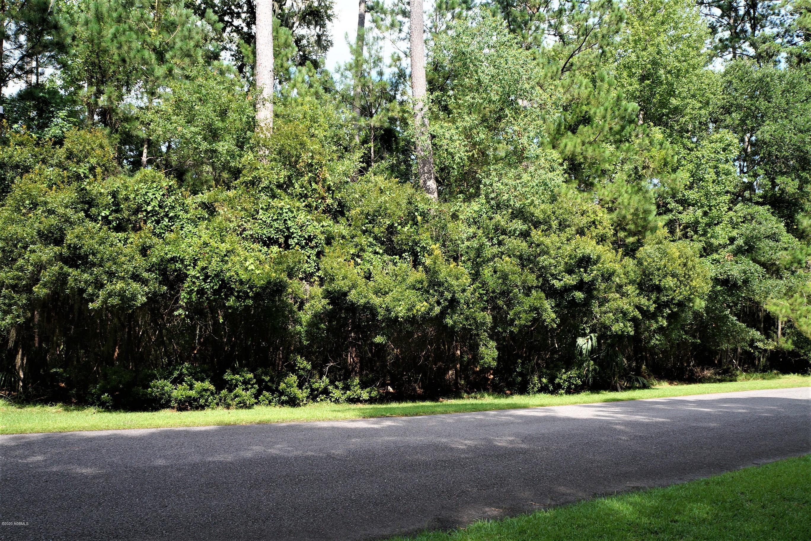 18 Broadview Drive Ridgeland, SC 29936 - Photo 3 of 13 DSC08832