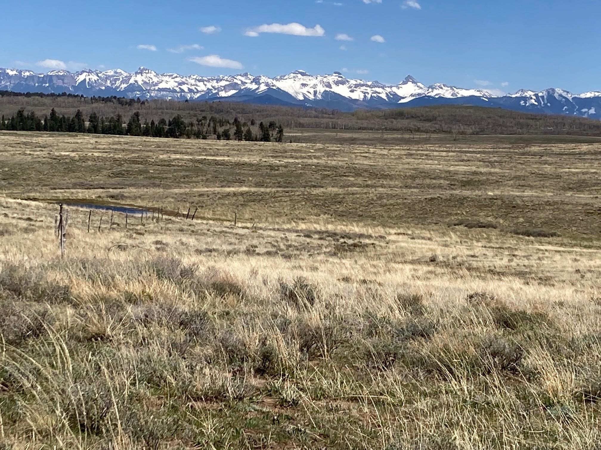 11 County Road Ridgway, CO 81432 - Photo 10 of 10 Gallery Image 10