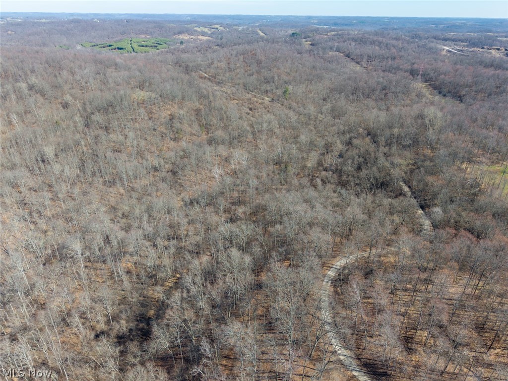 0 Clem Garvin Road Caldwell, OH 43724 - Photo 42 of 50 Aerial view of a forest