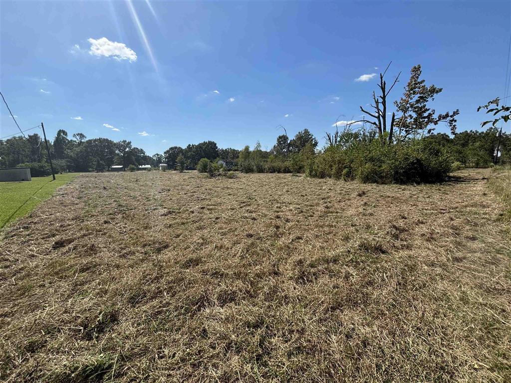 212 Hunter Road Ragley, LA 70657 - Photo 3 of 6