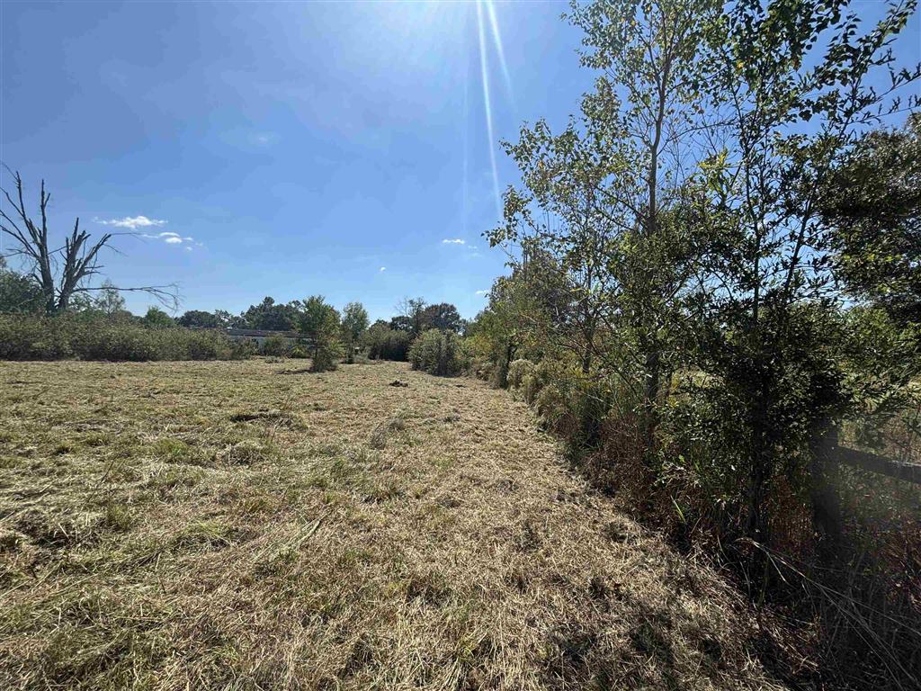 212 Hunter Road Ragley, LA 70657 - Photo 4 of 6