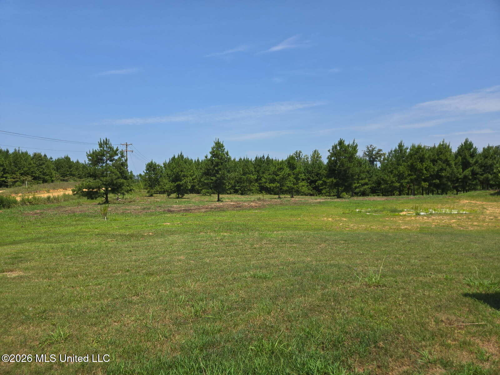 399 Stump Ridge Road Brandon, MS 39047 - Photo 44 of 46 image000000172
