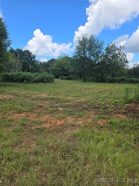 908 Daniel Branch Road Highland Home, AL 36041 - Photo 2 of 6 Gallery Image 2