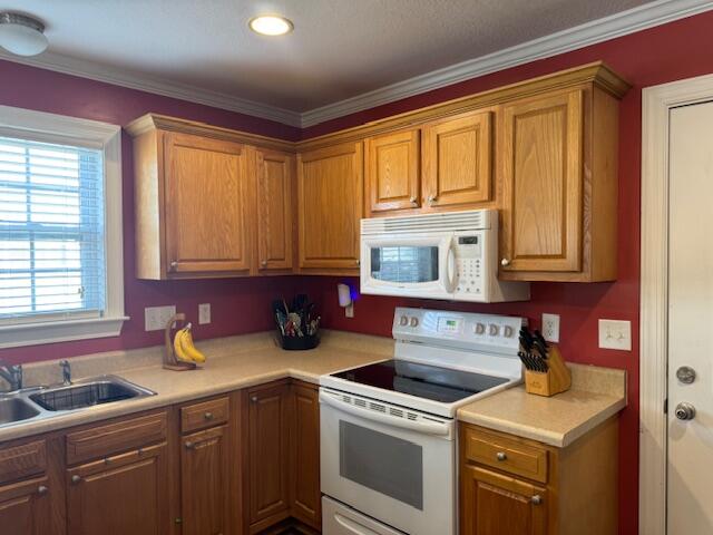 1396 Blue Heron Point Manning, SC 29102 - Photo 24 of 39 IMG_8427