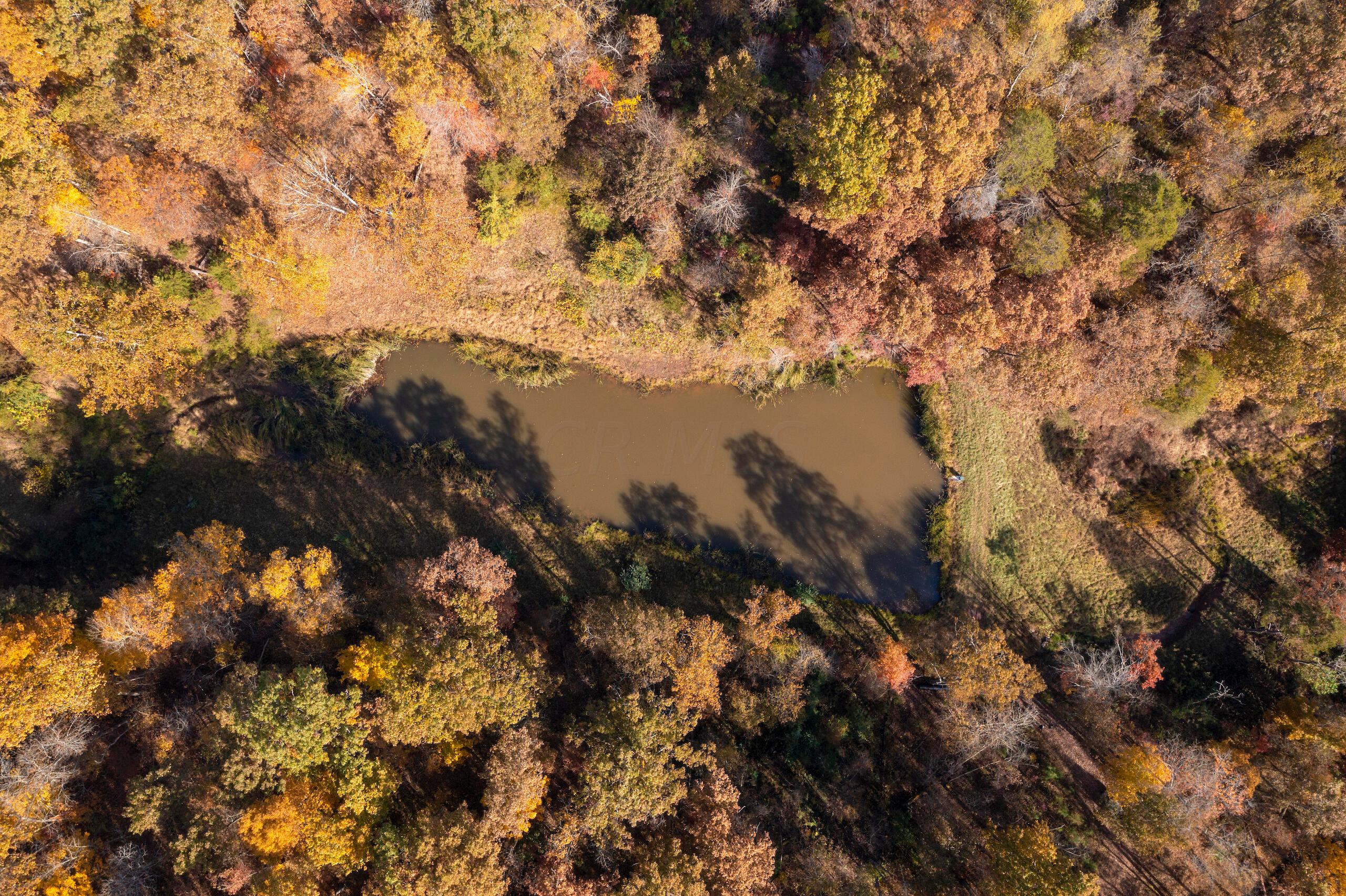 1426 Sealy Ridge Road Vincent, OH 45784 - Photo 14 of 52 DJI_0779-69