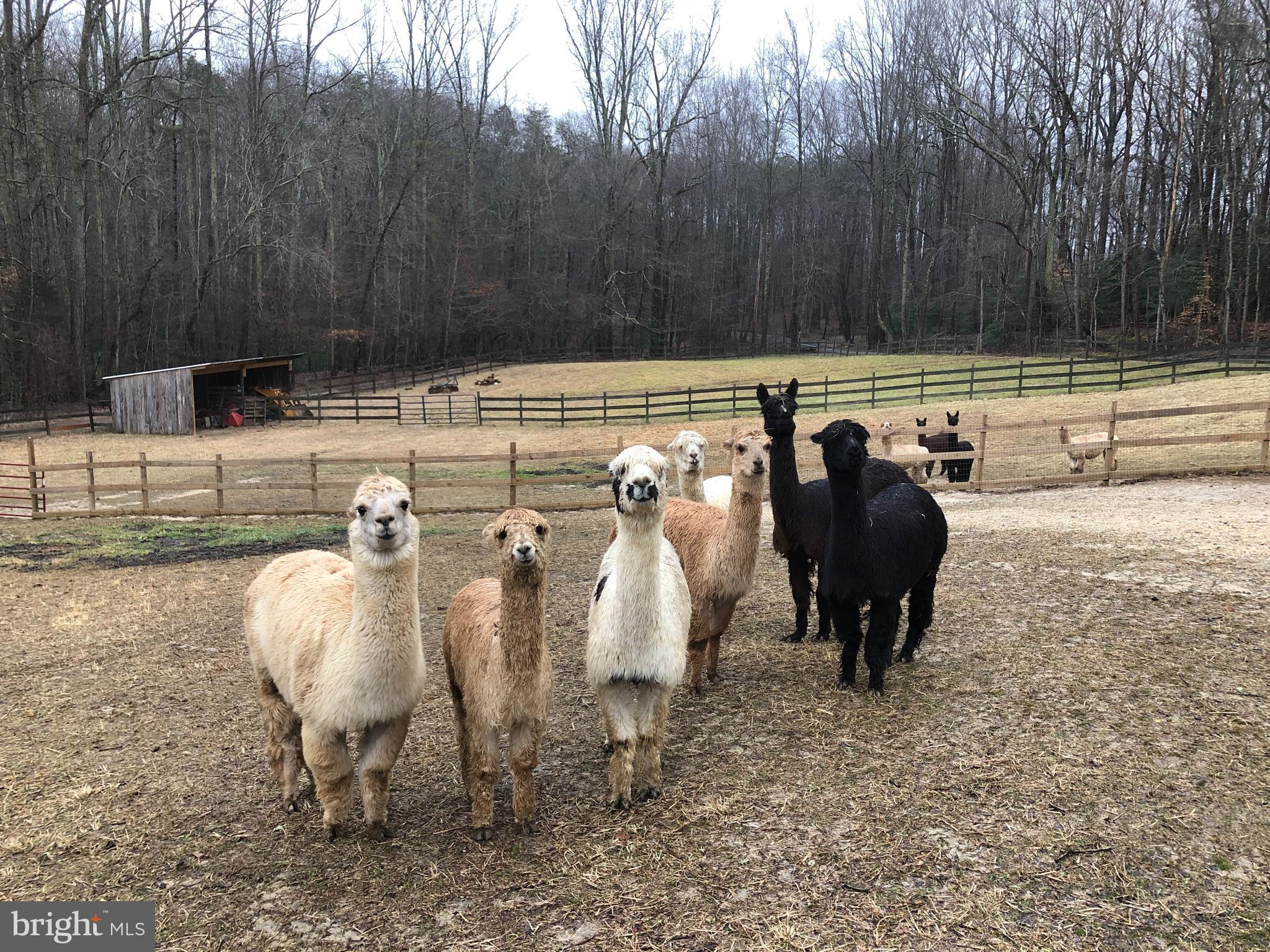 6135 Goode Road Hughesville, MD 20637 - Photo 103 of 103 Gallery Image 103