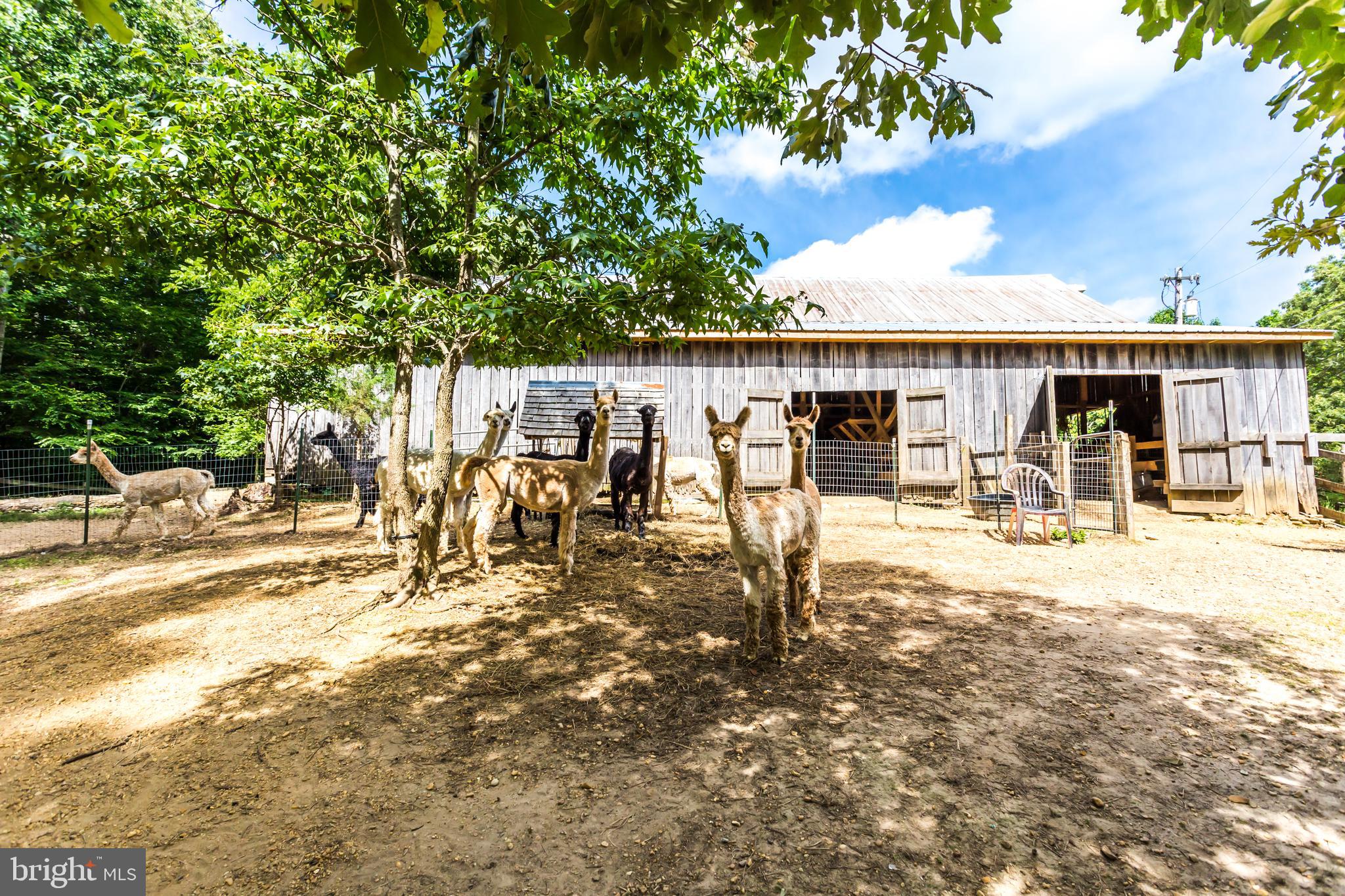 6135 Goode Road Hughesville, MD 20637 - Photo 53 of 103 Gallery Image 53