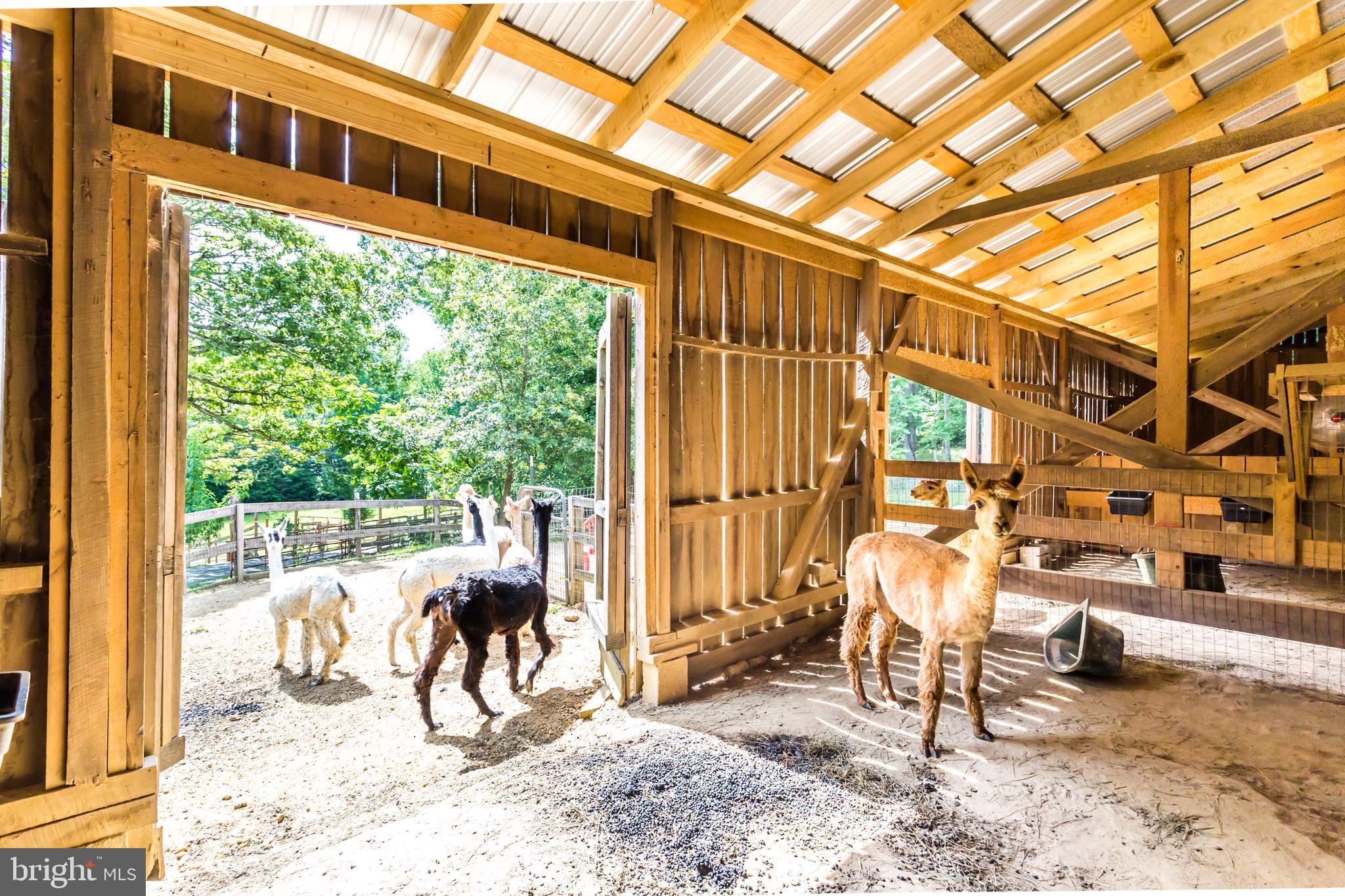 6135 Goode Road Hughesville, MD 20637 - Photo 55 of 103 Gallery Image 55