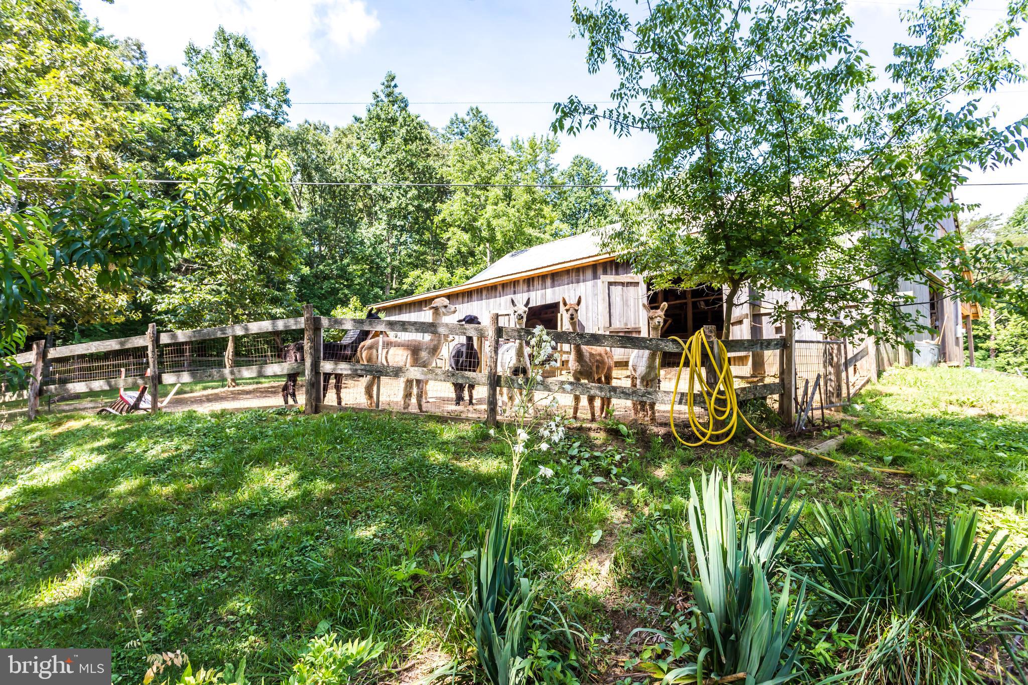 6135 Goode Road Hughesville, MD 20637 - Photo 60 of 103 Gallery Image 60