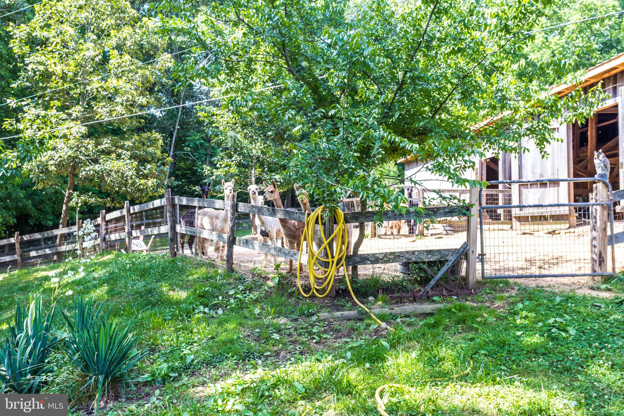 6135 Goode Road Hughesville, MD 20637 - Photo 61 of 103 Gallery Image 61