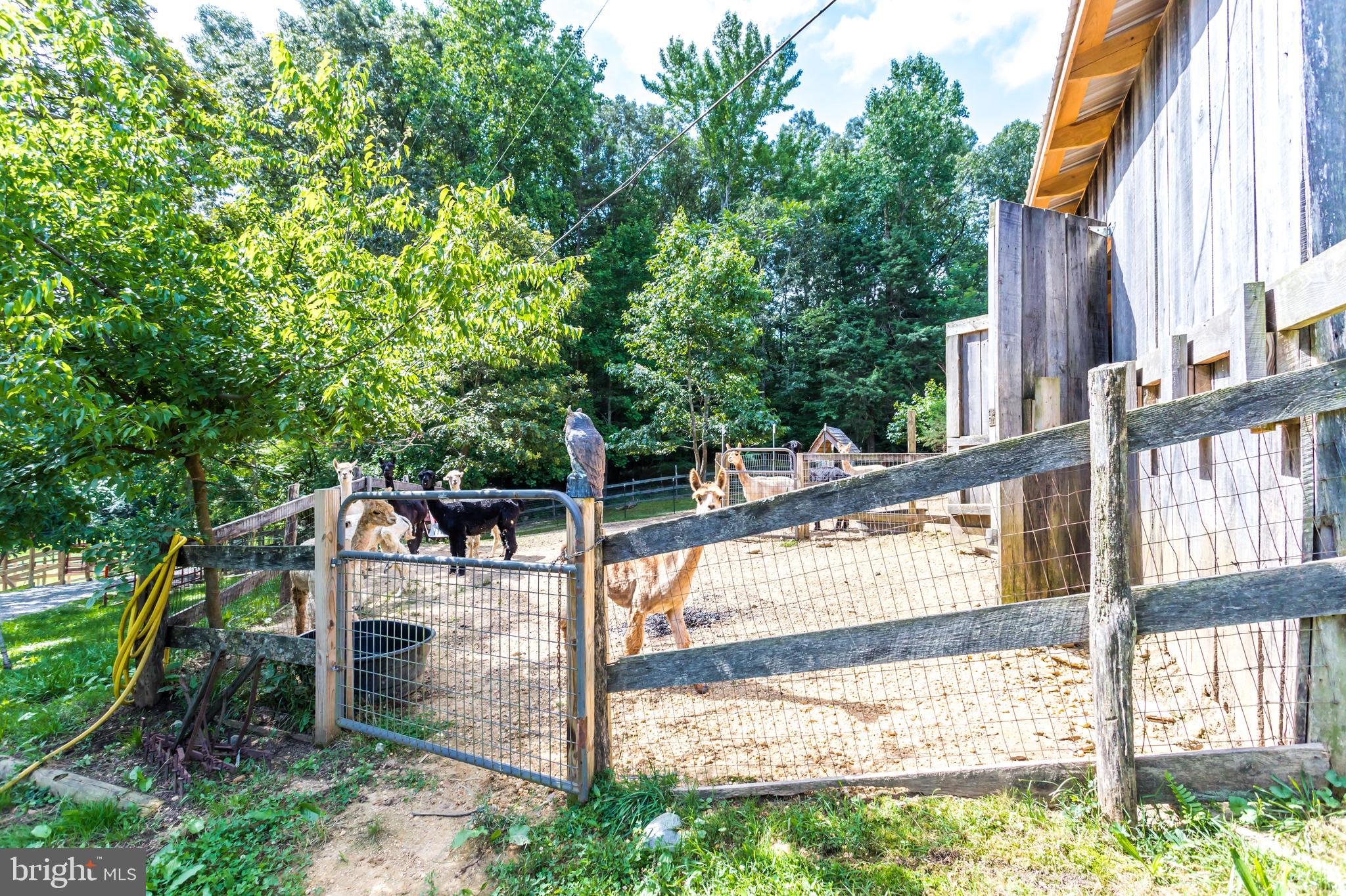 6135 Goode Road Hughesville, MD 20637 - Photo 62 of 103 Gallery Image 62