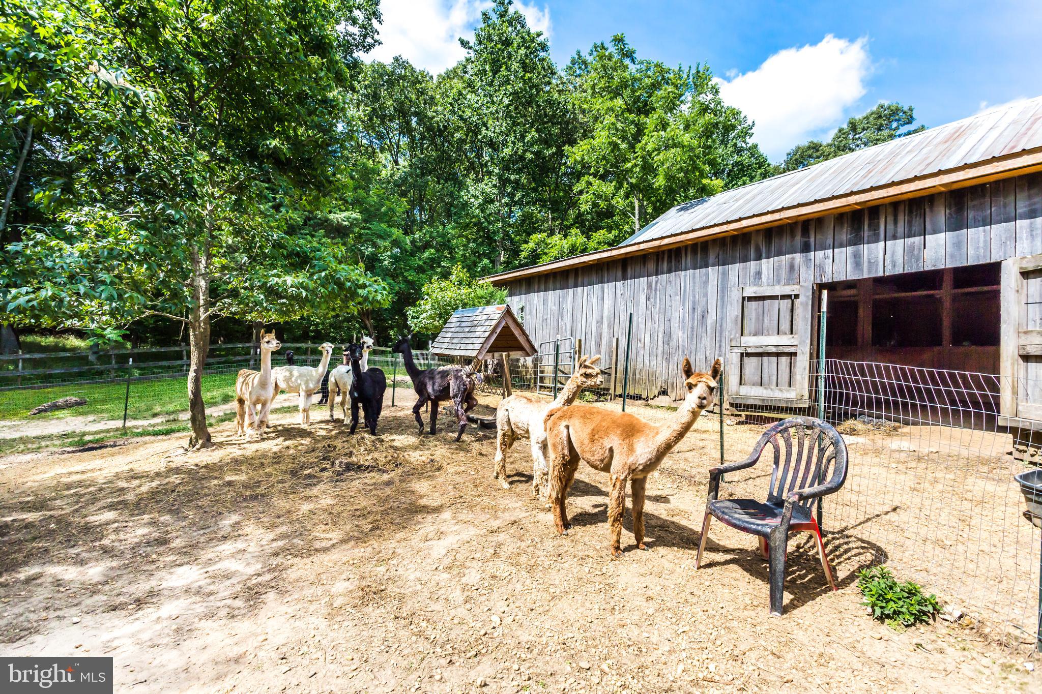 6135 Goode Road Hughesville, MD 20637 - Photo 70 of 103 Gallery Image 70