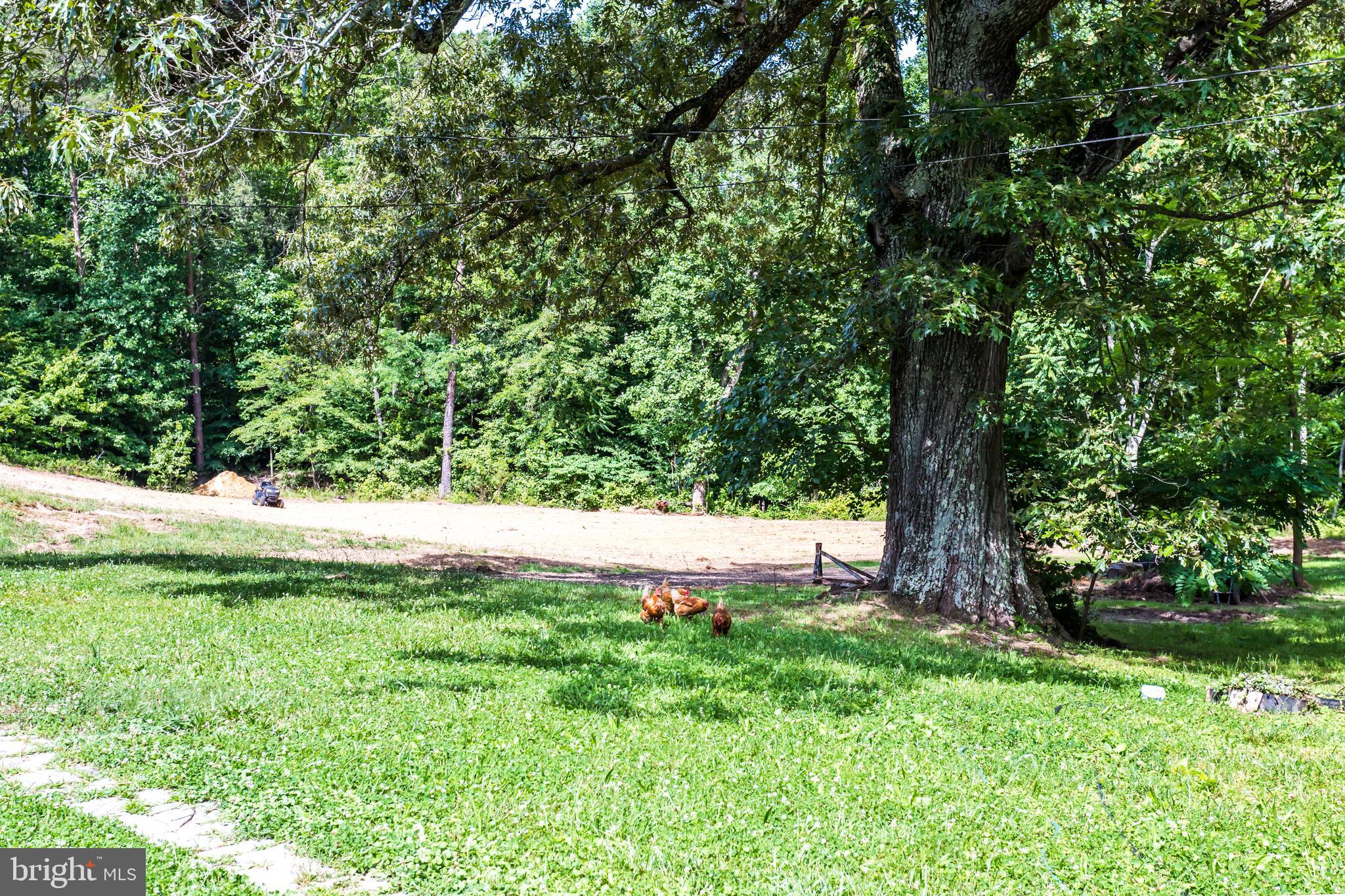 6135 Goode Road Hughesville, MD 20637 - Photo 76 of 103 Gallery Image 76