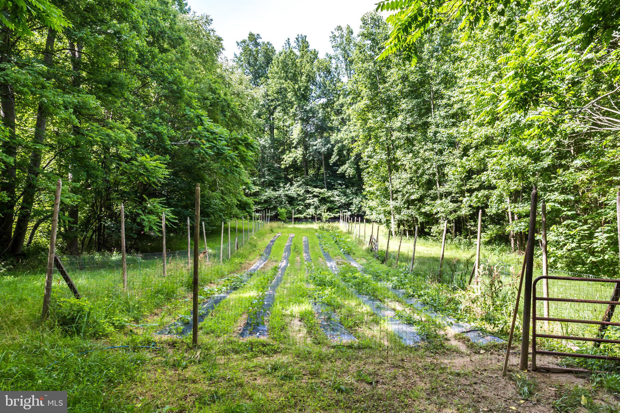 6135 Goode Road Hughesville, MD 20637 - Photo 88 of 103 Gallery Image 88