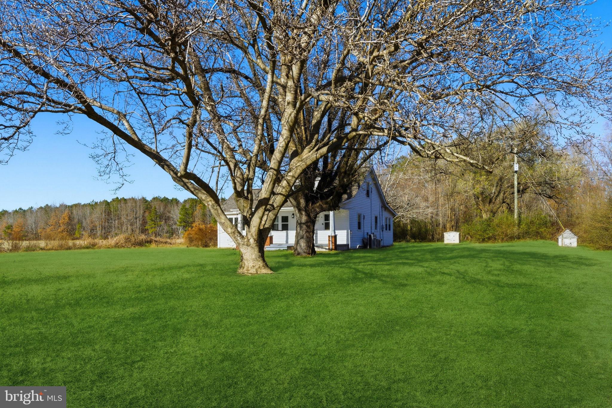 5020 Tucker Hill Road Hague, VA 22469 - Photo 8 of 31 a view of a trees with a yard