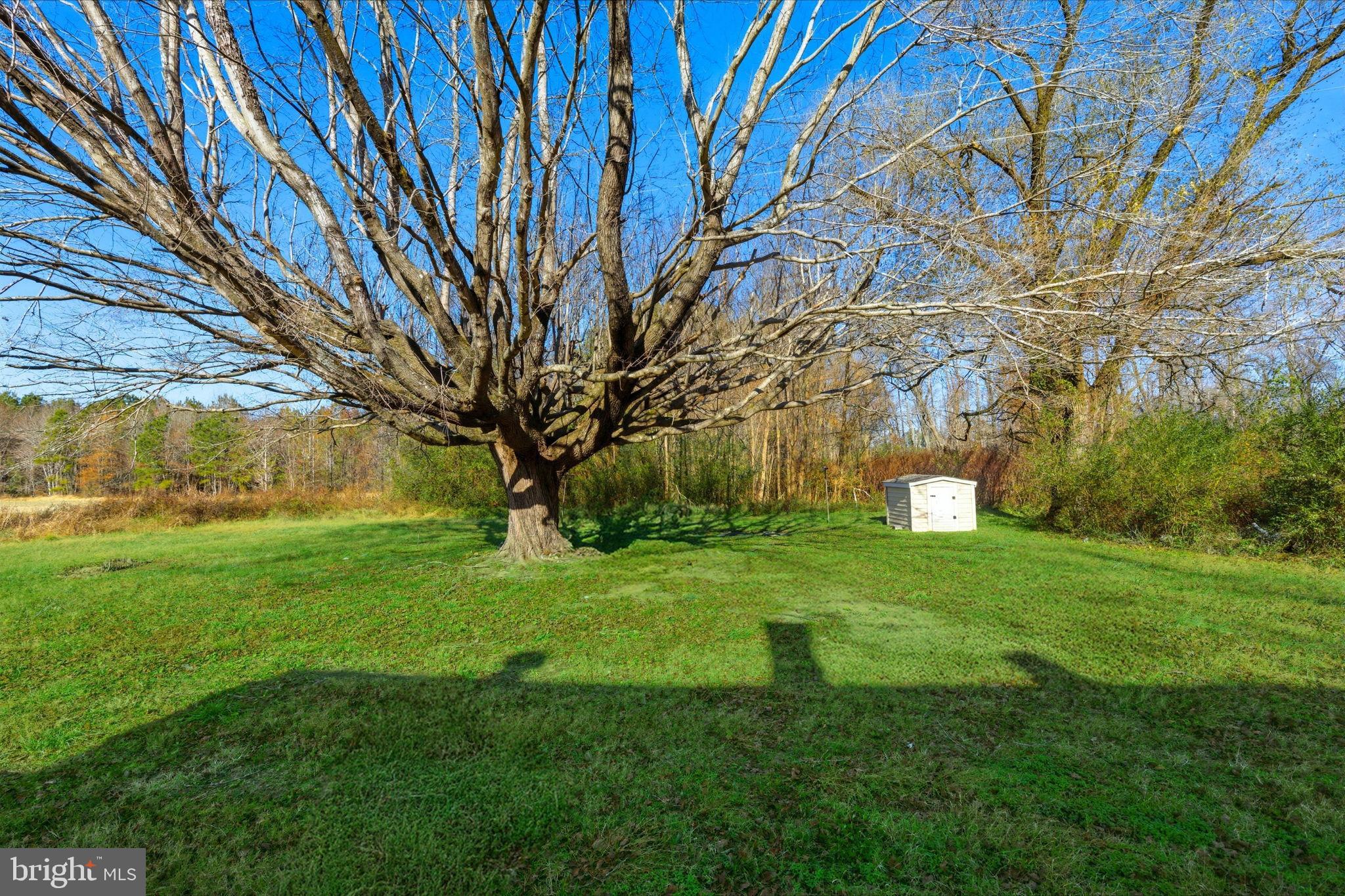5020 Tucker Hill Road Hague, VA 22469 - Photo 9 of 31 a backyard of a house with lots of green space
