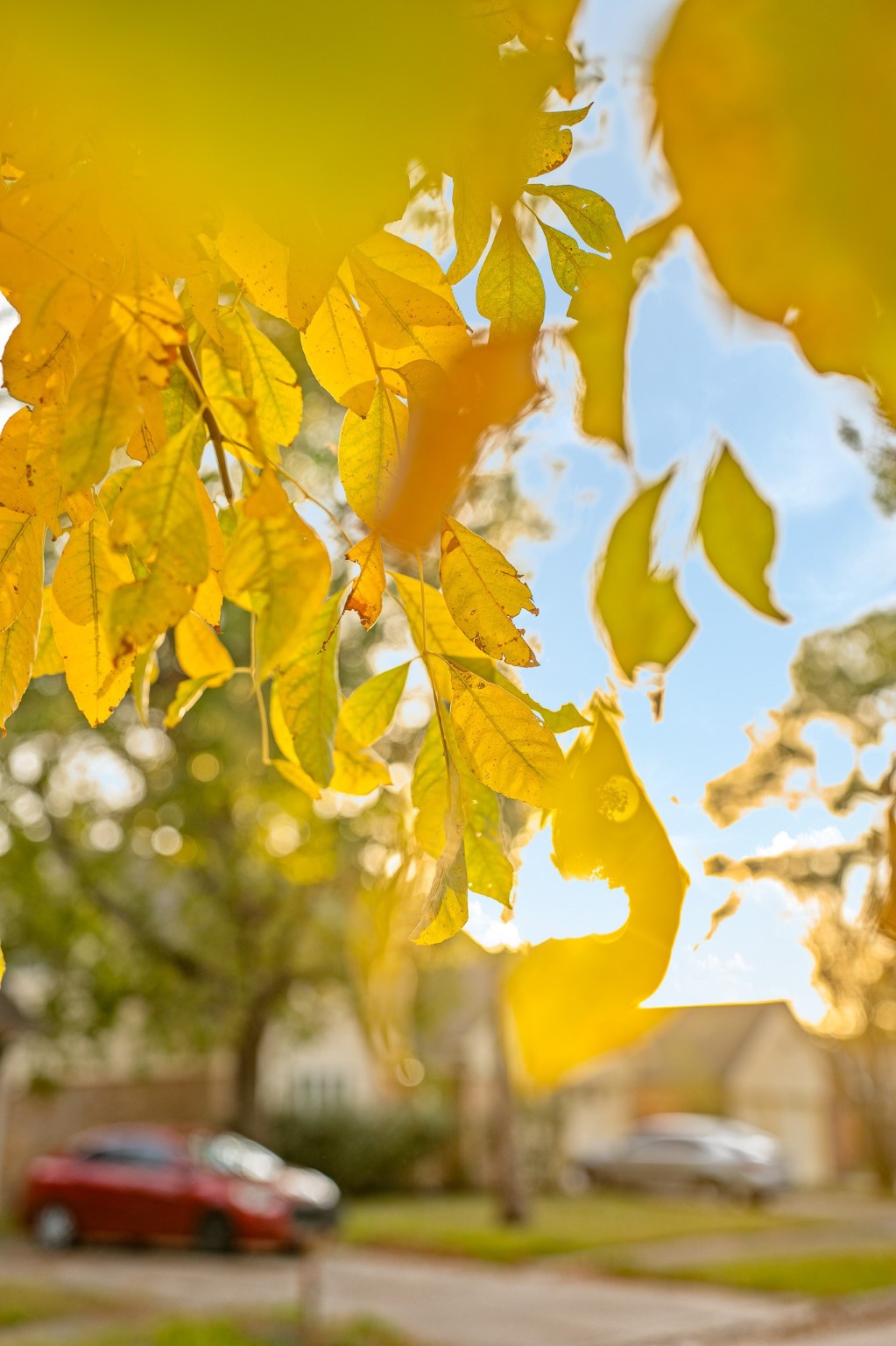12007 Sharpcrest Street Houston, TX 77072 - Photo 34 of 40