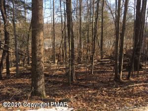 Chestnut Lane Bushkill, PA 18324 - Photo 1 of 1 Woods