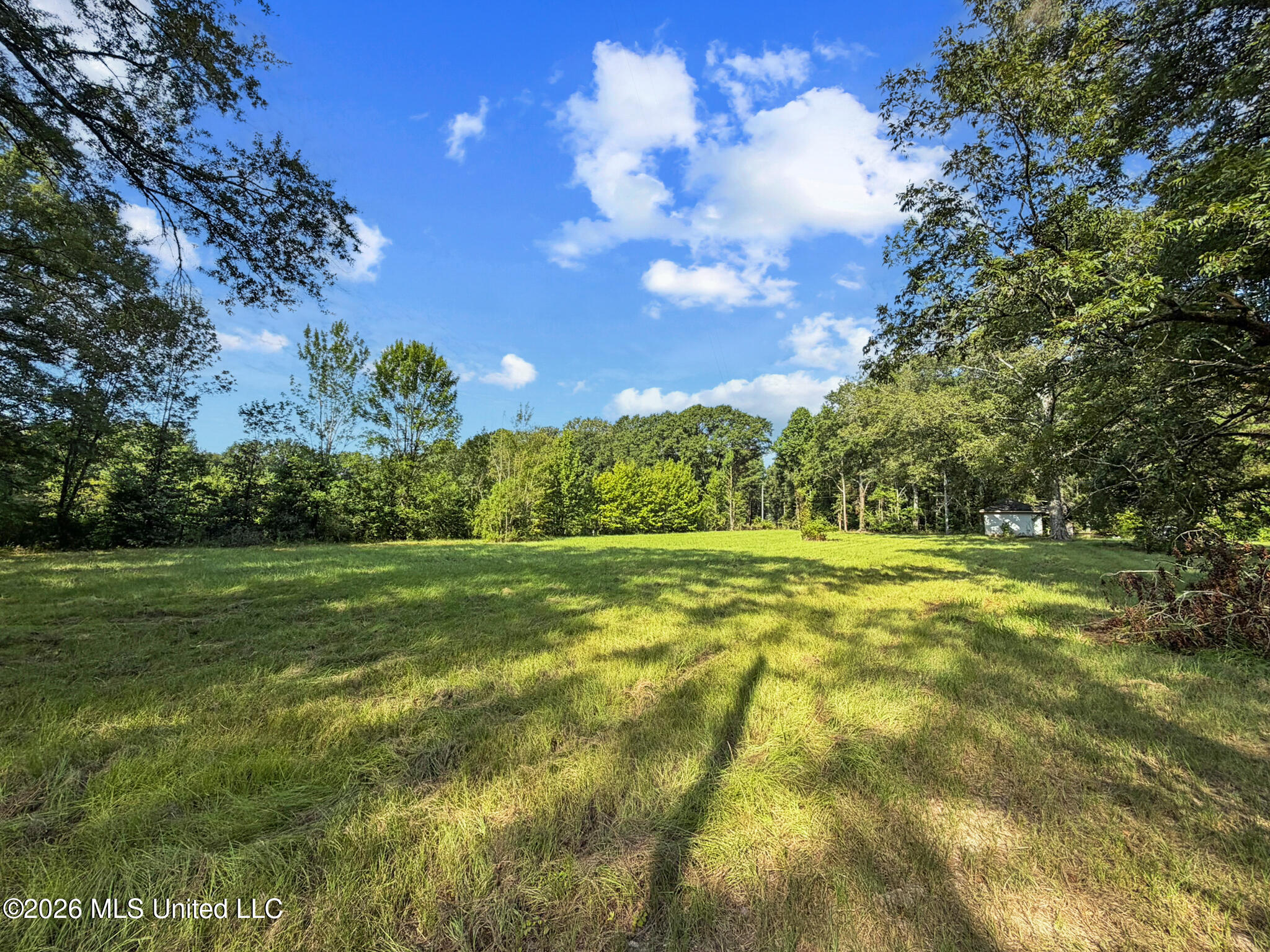 1194 Tom Kyzar Road Morton, MS 39117 - Photo 12 of 31 IMG_4347