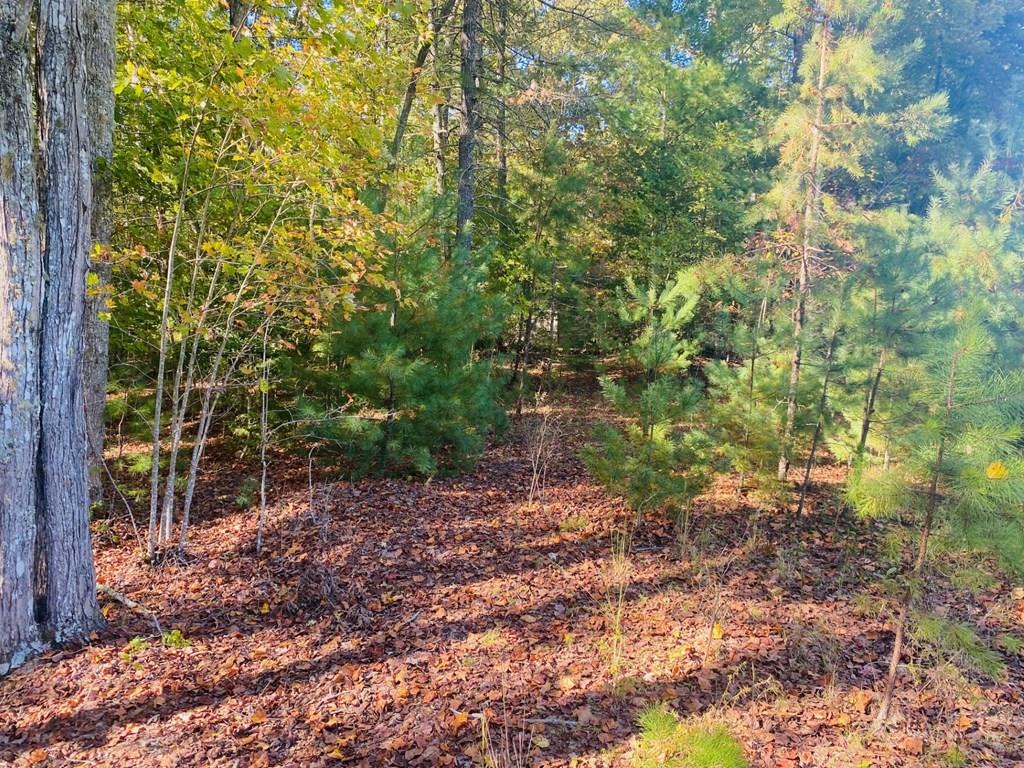 Lot 34 Point Overlook Trail Murphy, NC 28906 - Photo 17 of 17