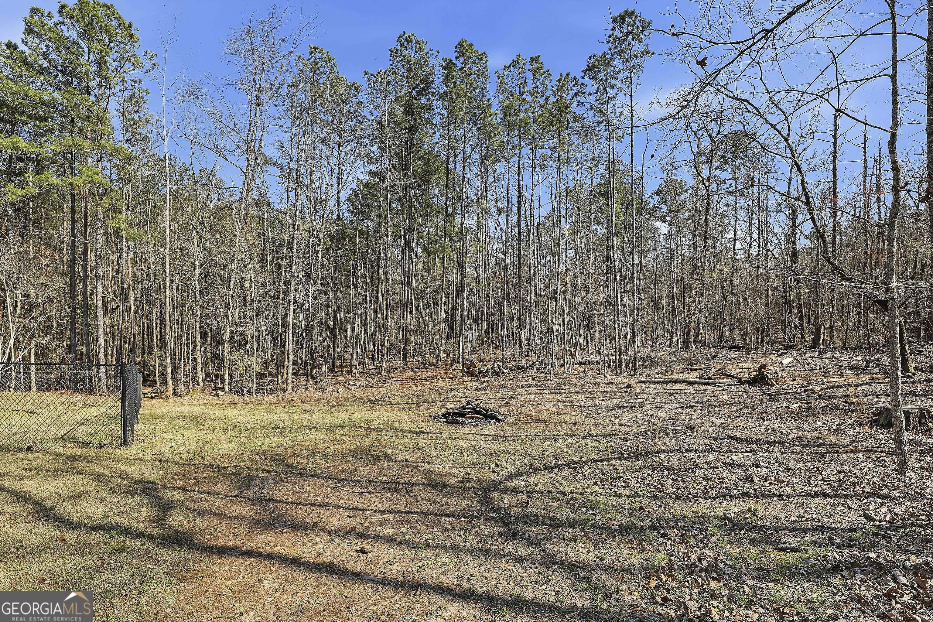 180 Lockwood Road Fayetteville, GA 30215 - Photo 47 of 59 a backyard of a house with trees in the background