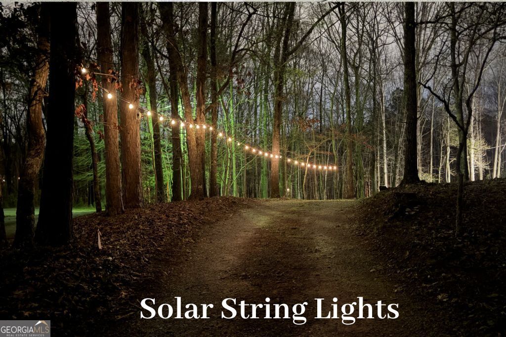 180 Lockwood Road Fayetteville, GA 30215 - Photo 51 of 59 a view of outdoor space with garden