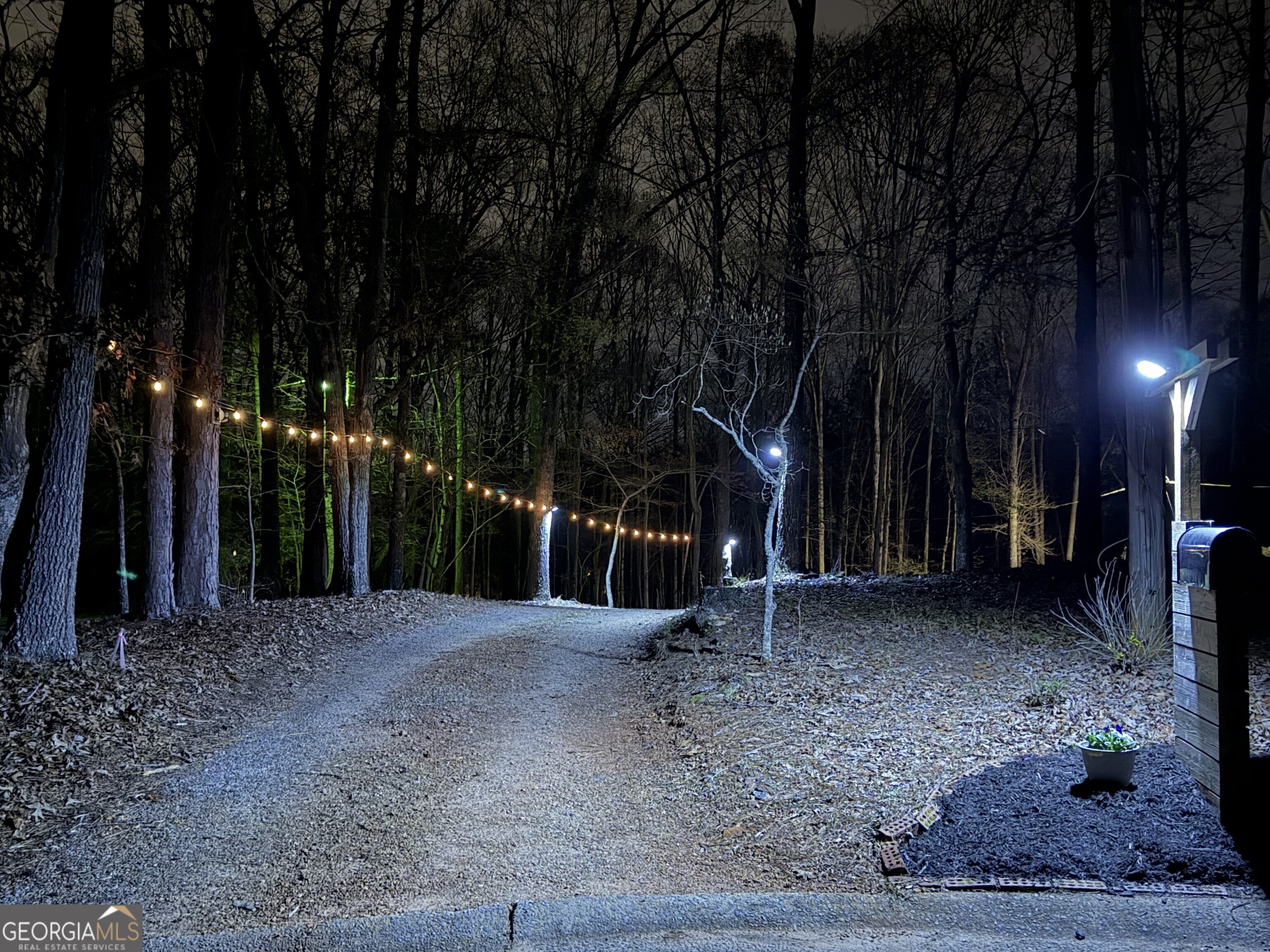 180 Lockwood Road Fayetteville, GA 30215 - Photo 52 of 59 a view of a backyard with palm trees