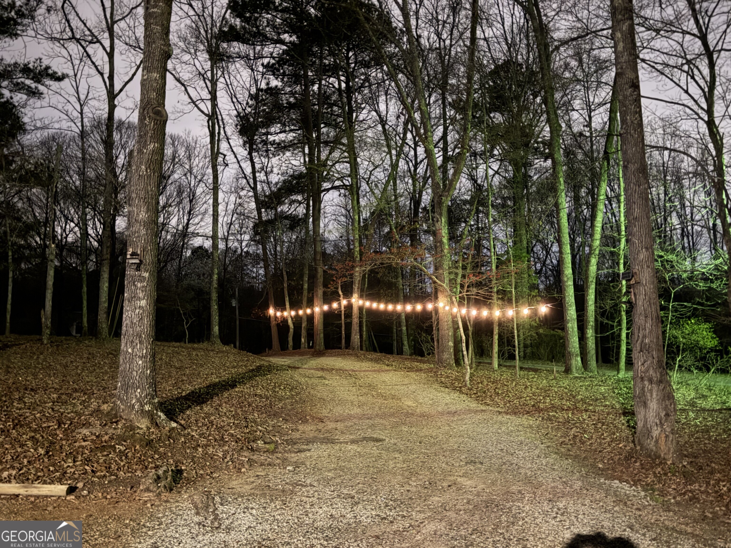 180 Lockwood Road Fayetteville, GA 30215 - Photo 53 of 59 a backyard of a house with lots of green space