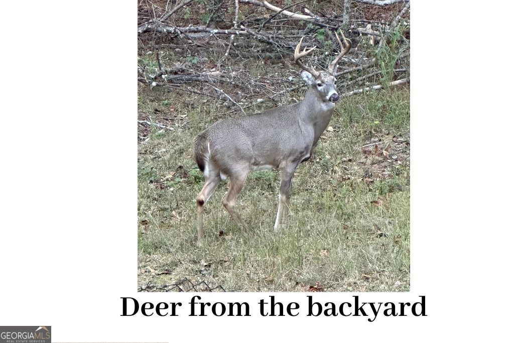 180 Lockwood Road Fayetteville, GA 30215 - Photo 54 of 59