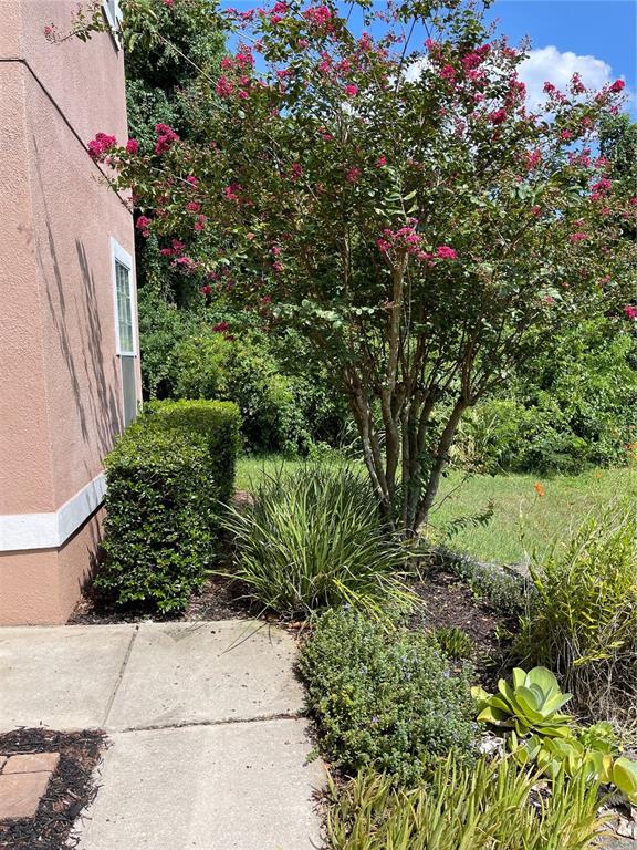 7617 Bayport Road, Unit 57 Orlando, FL 32819 - Photo 4 of 39 a picture of flowers