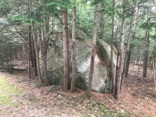 14 Sunnybrook Farm Road Bridgton, ME 04009 - Photo 2 of 3 sunny 2