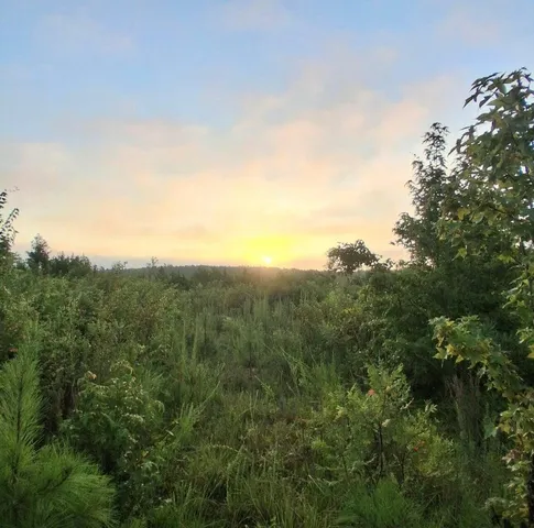 $29,900 | 3 A Bowie Road, Troy, SC 29848