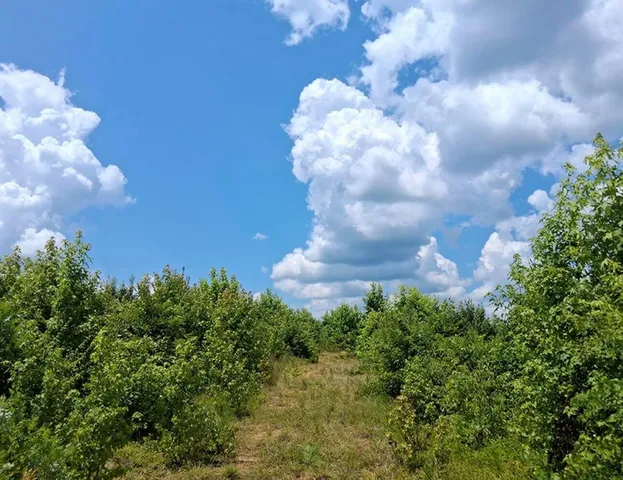 $29,900 | 3 A Bowie Road, Troy, SC 29848