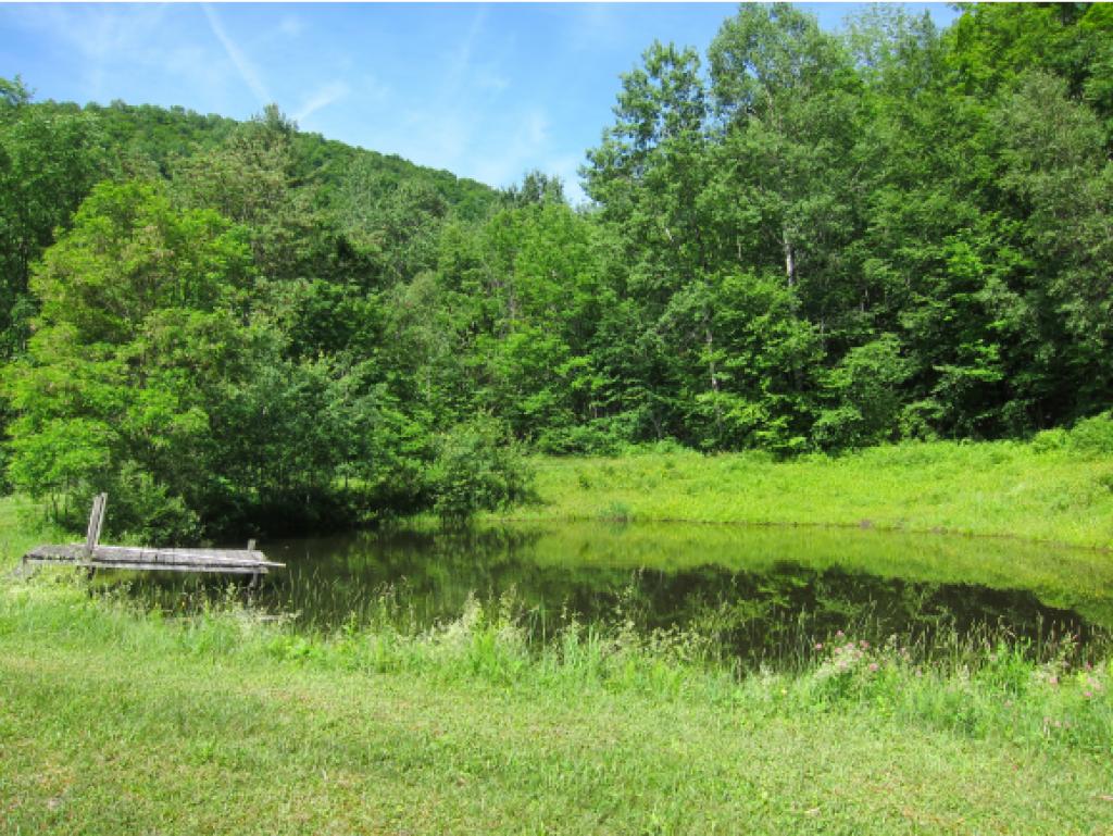 635 Wilcox Hollow Road Sandgate, VT 05250 - Photo 22 of 23 Gallery Image 22