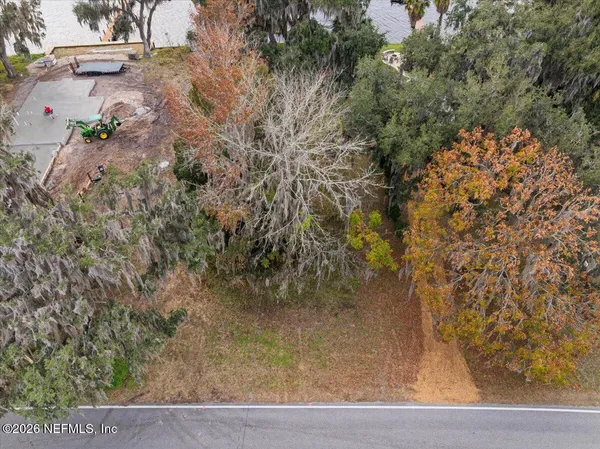 a view of backyard with tree