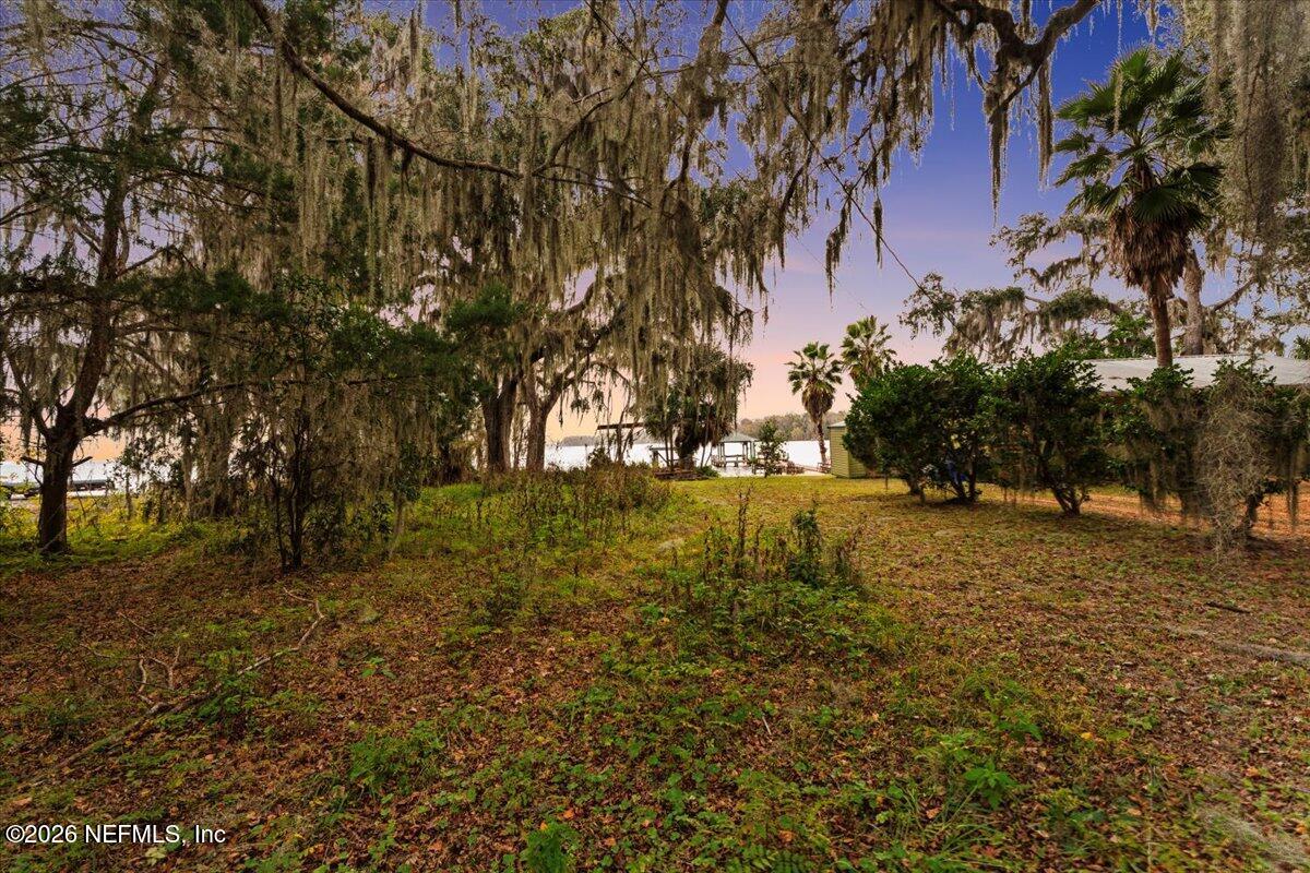 13607 County Road 13 North St. Augustine, FL 32092 - Photo 6 of 11 a view of yard with trees