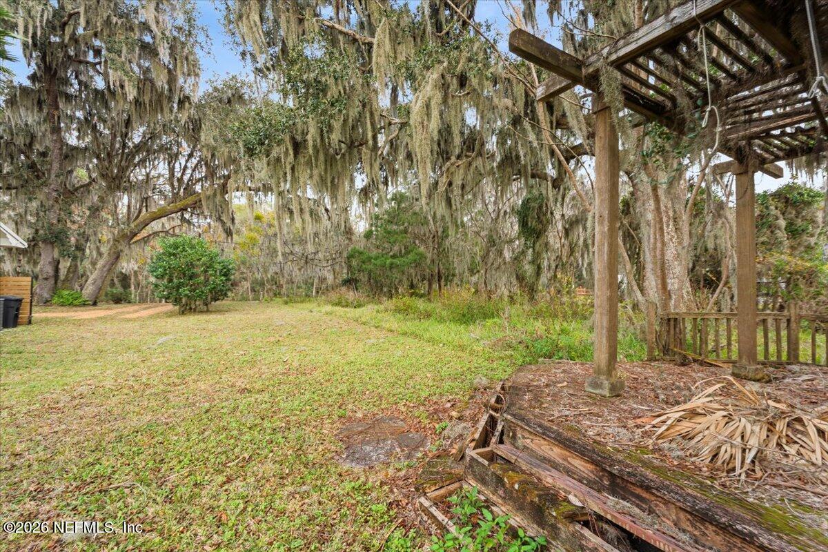 13607 County Road 13 North St. Augustine, FL 32092 - Photo 8 of 11 a view of backyard with tree