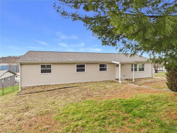 a view of a yard with plants and trees