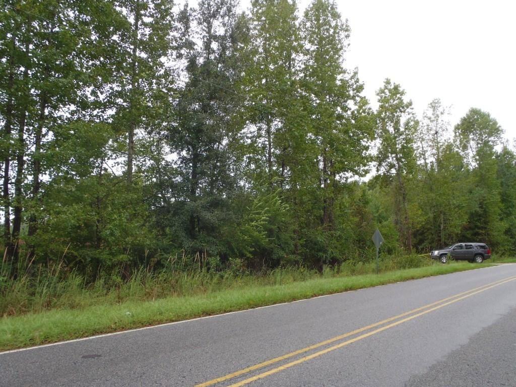 0 Campbell Thickett Road Ridgeville, SC 29472 - Photo 3 of 9 Camblell Thicket 1