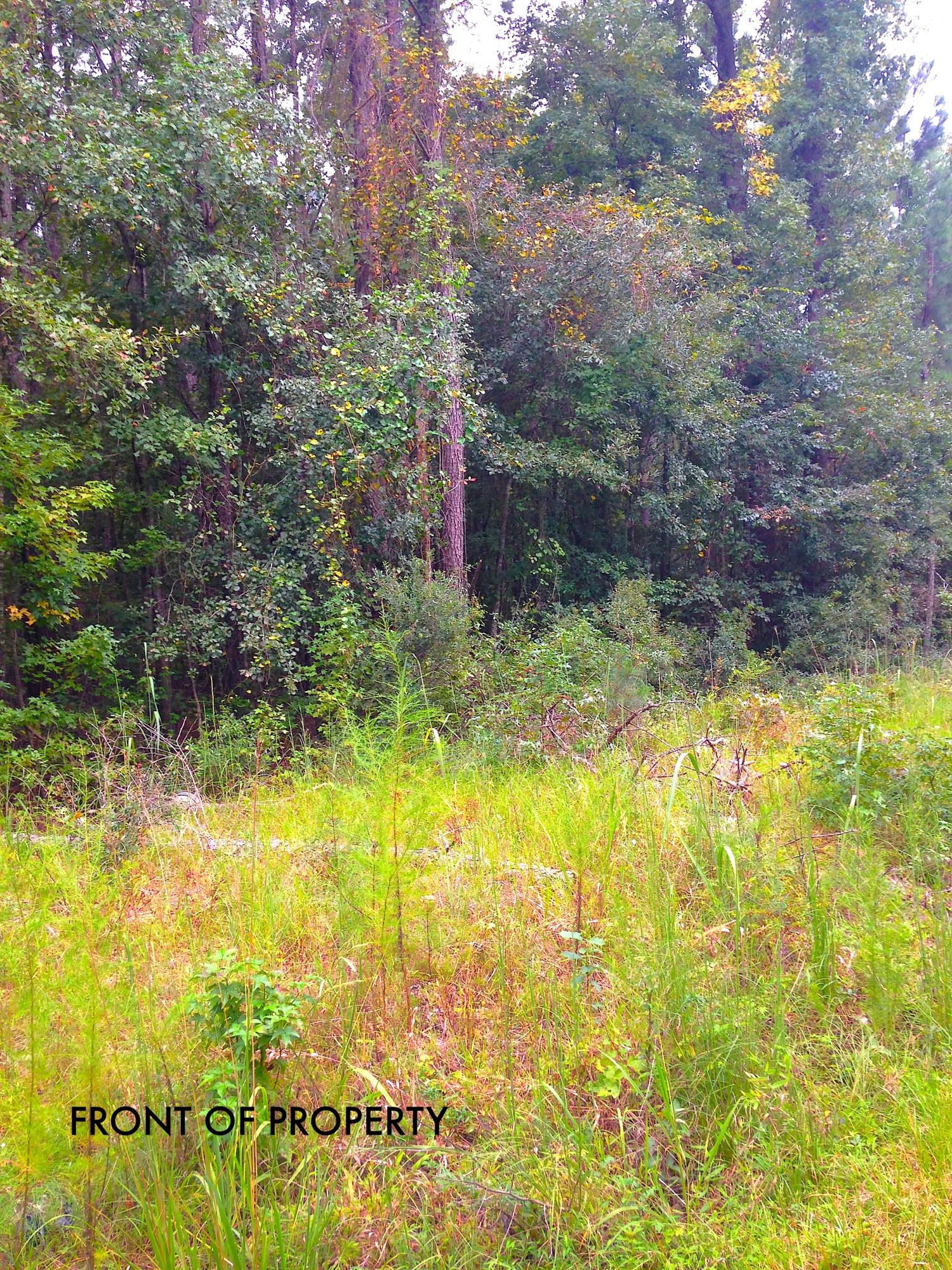 0 Campbell Thickett Road Ridgeville, SC 29472 - Photo 6 of 9 IMG_0969