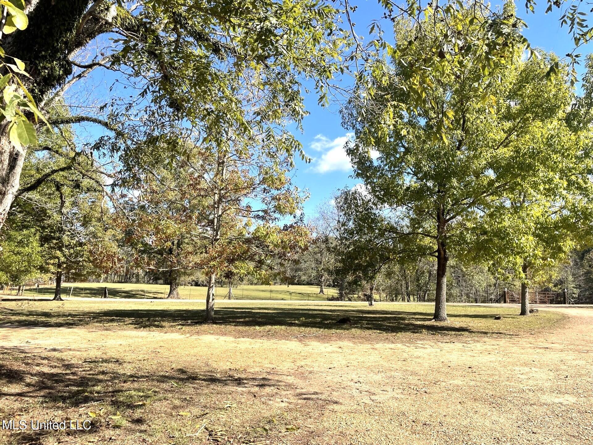 30 Hawkins Road Natchez, MS 39120 - Photo 24 of 35 thumbnail_IMG_9300.jpg30 29