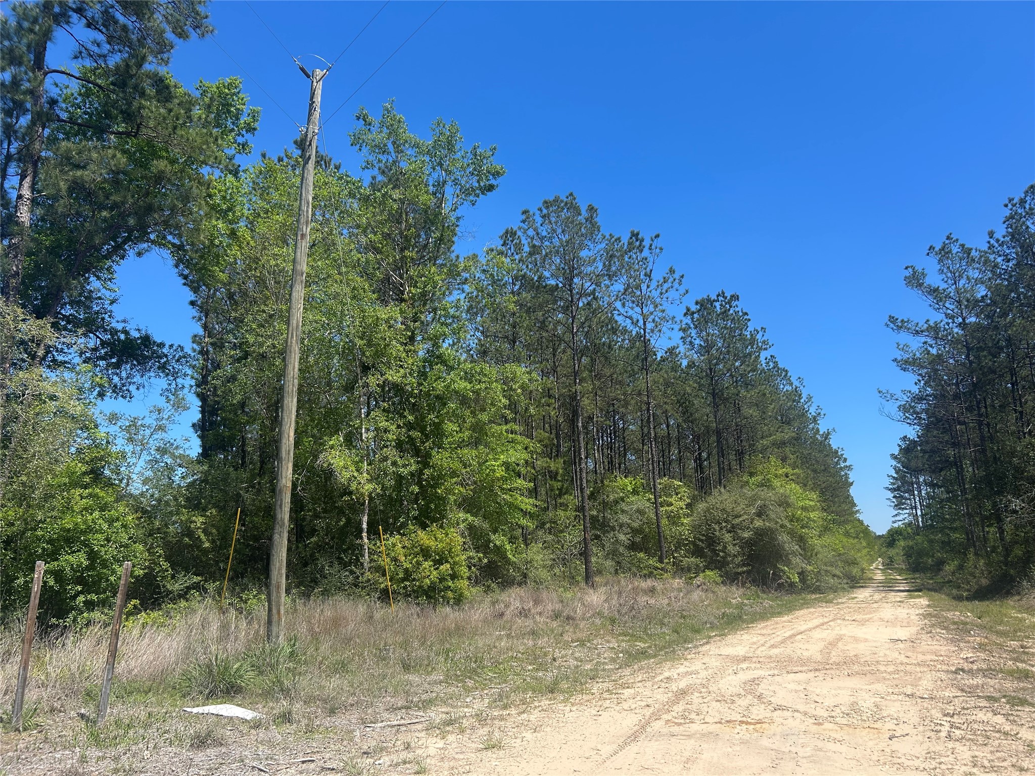 Lot 39 Carter Ranch Road Kountze, TX 77625 - Photo 5 of 13 a view of a yard