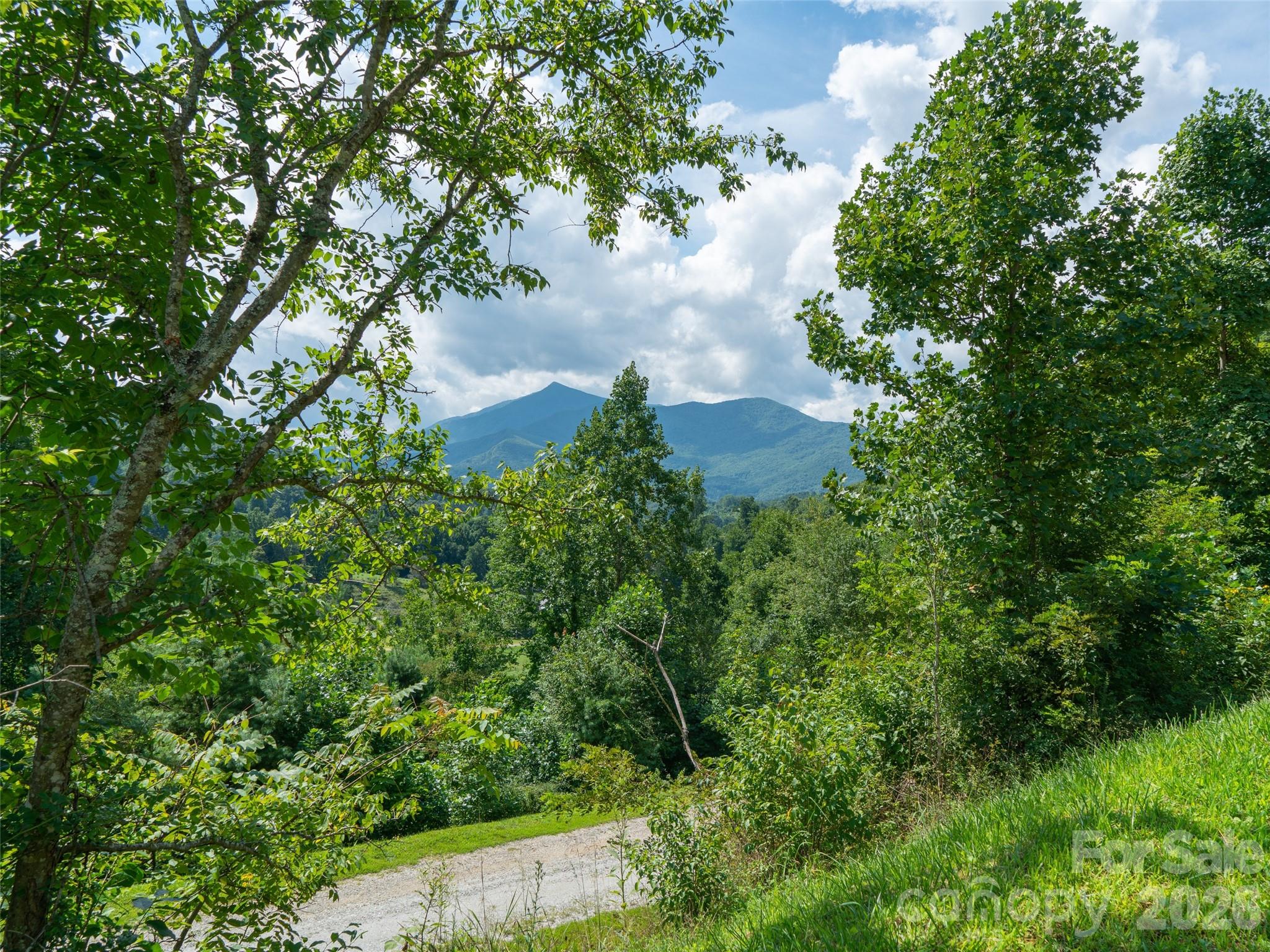 0 Locust Rough Mountain Road, Unit LOT 6 Burnsville, NC 28714 - Photo 26 of 26