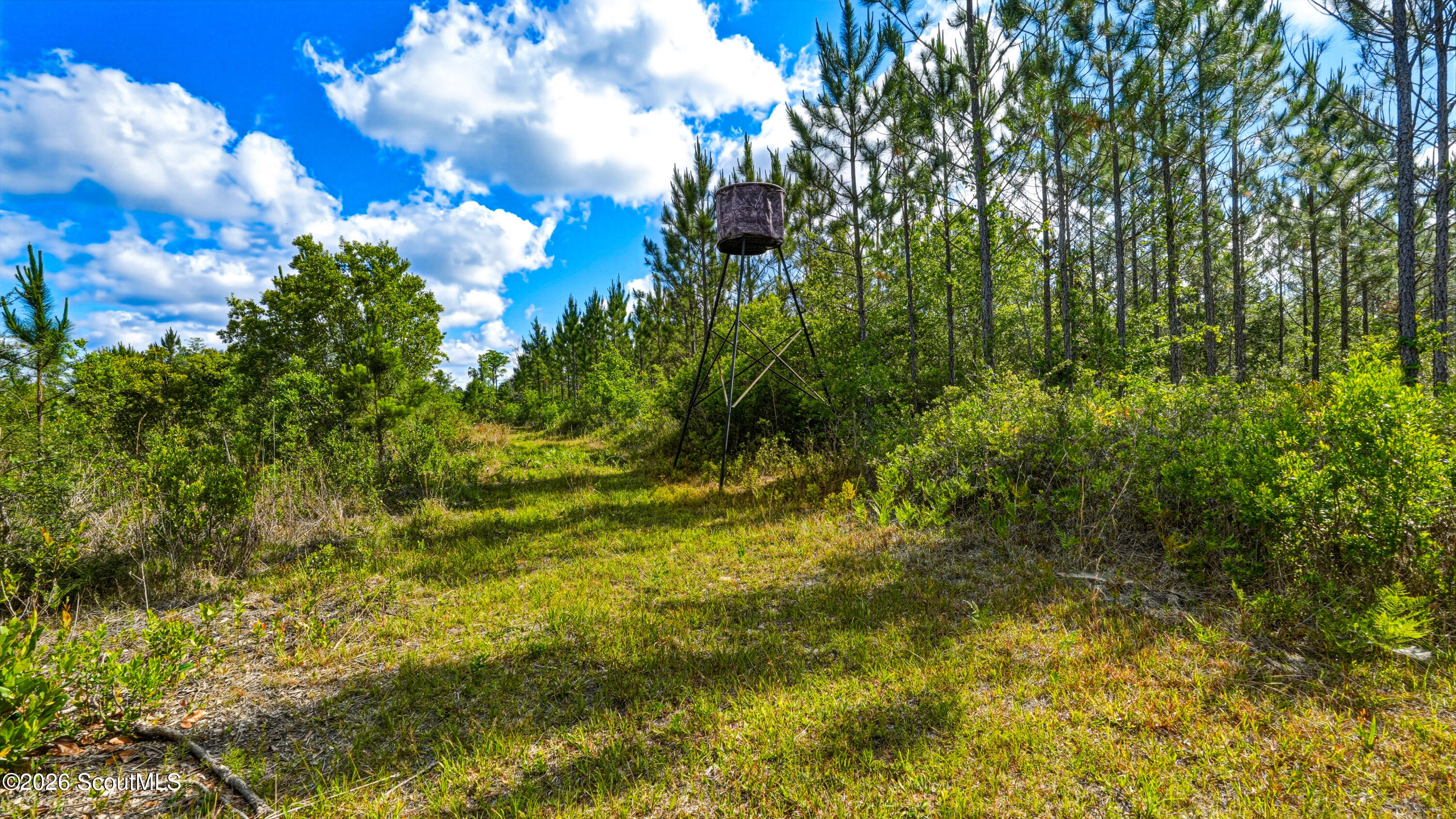 88 Minnesota Road Screven, GA 31560 - Photo 46 of 52