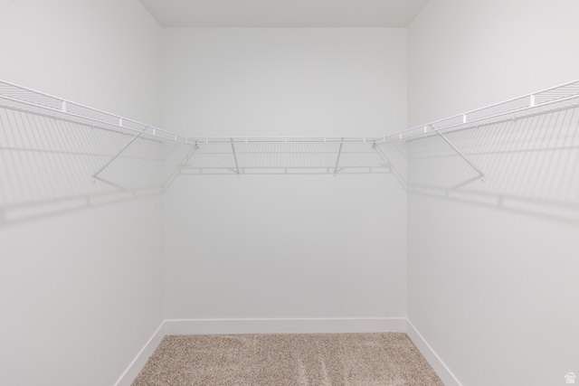 693 West 4500th South, Unit O304 Mapleton, UT 84664 - Photo 8 of 16 Walk in closet featuring light colored carpet