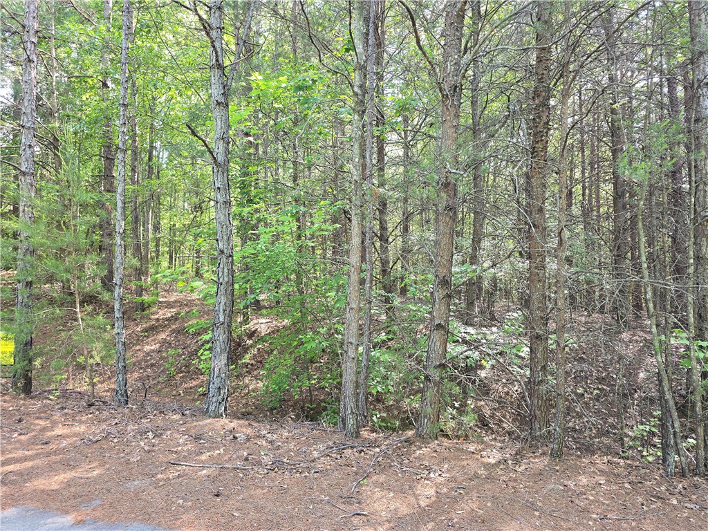 110 P-14-63 Anderson, SC 29621 - Photo 1 of 3 Gallery Image 1