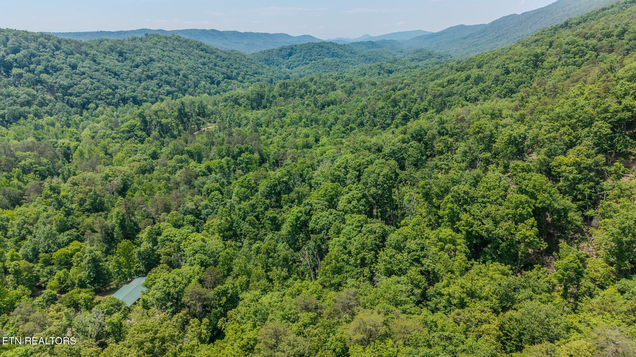 Poor Valley Road Rutledge, TN 37861 - Photo 8 of 9 8-web-or-mls-DJI_20260519122953_0254_D