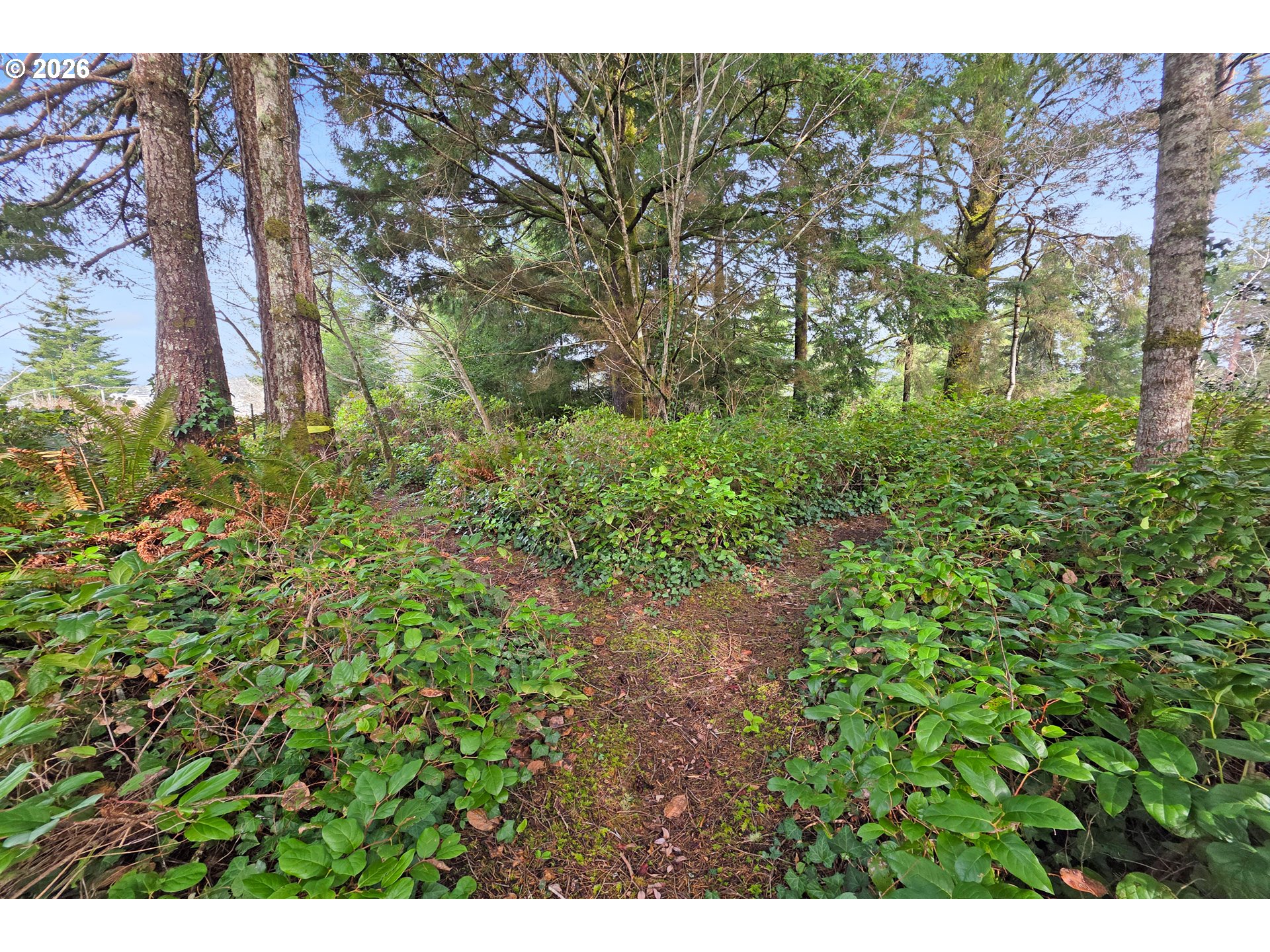 5591 Chittum Loop Florence, OR 97439 - Photo 21 of 23 a view of a city with lush green forest