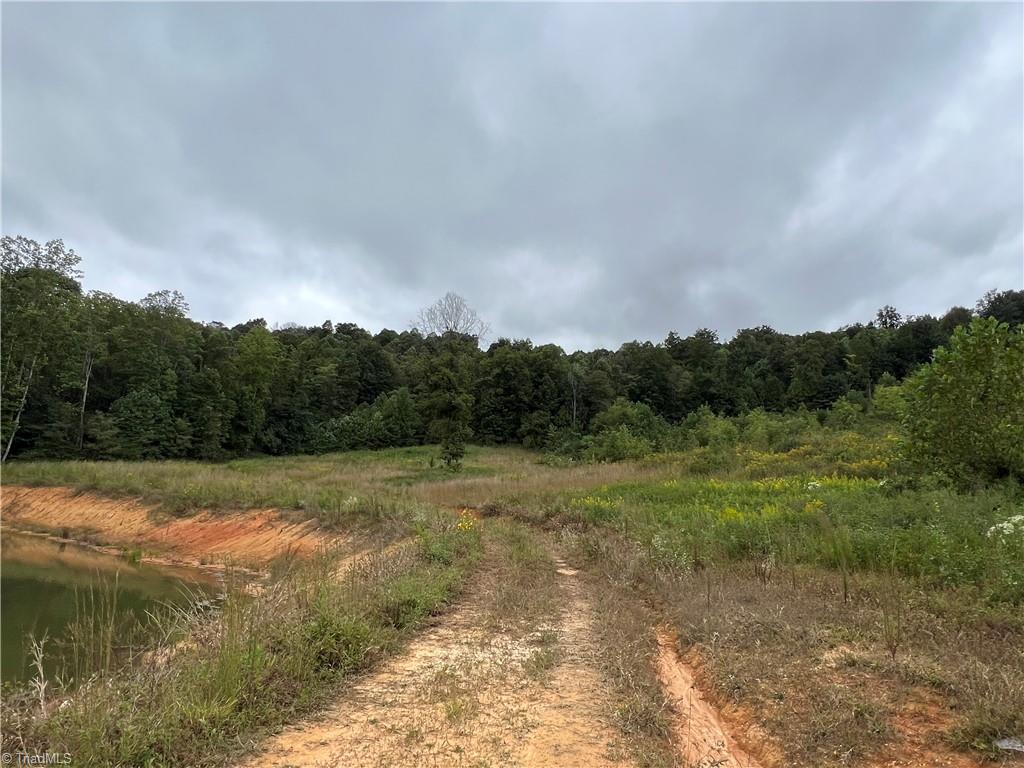 2995 Longtown Road Boonville, NC 27011 - Photo 17 of 31 Gallery Image 17