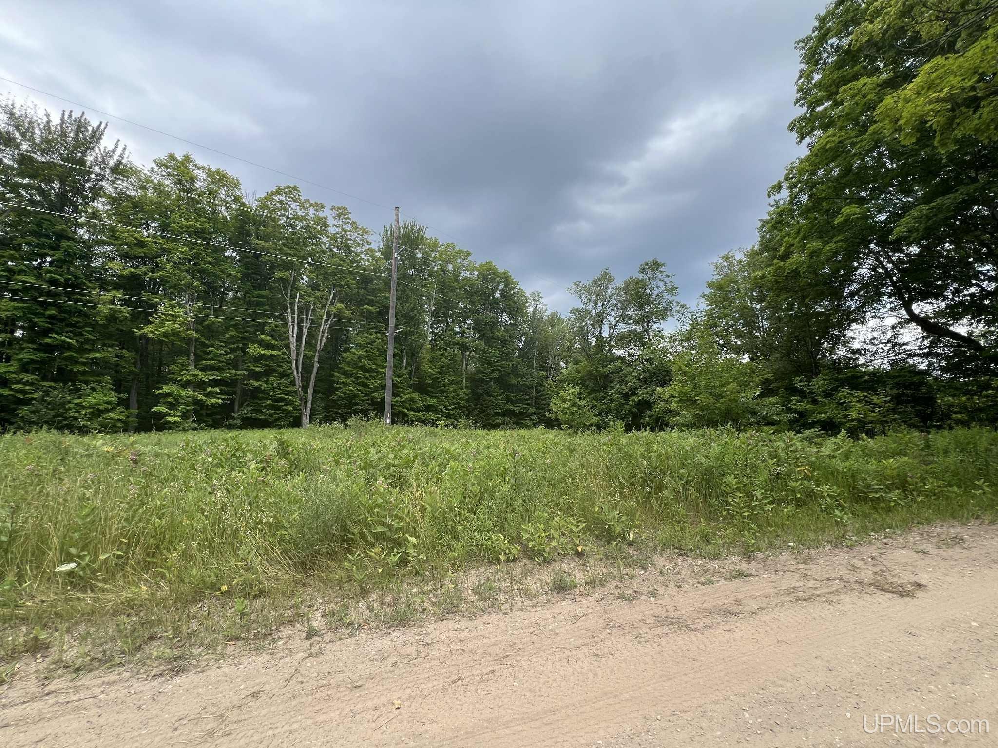 Tbd West Ford Lake Road Germfask, MI 49836 - Photo 7 of 22 Gallery Image 7